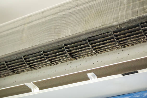 Best Local Air Duct Cleaning Services  in Shrub Oak, NY